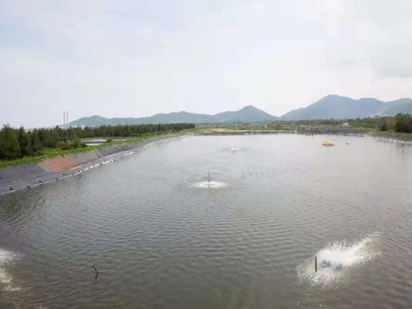 淺要分析氨氮毒理?。?！